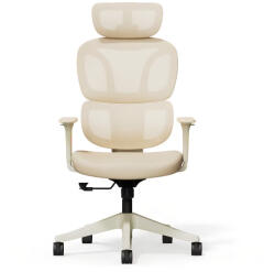 FlexiSpot Ergonomikus irodai szék BS5, fehér - hálós háttámla, állítható karfák és modern megjelenés (BS5W)