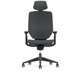 FlexiSpot Ergonomikus irodai szék BS12 Pro, szürke- Lélegző szövet kárpit, hosszú üléshez tervezve (BS12G-PRO)