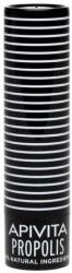 APIVITA Ajakápoló Stift Propolisszal 4, 4 g - fizz