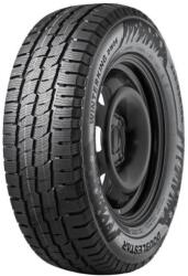Double Star Winterking DW06 205/65 R16 107/105R