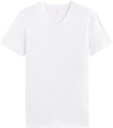 CELIO Neuniv (1061388)