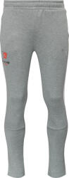 PUMA TEAMEVOSTRIPE PANTS Gri, Roșu L (65994833-KVISPCE)