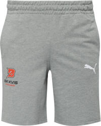 PUMA Teamgoal Casuals Shorts (65860833-kvispce)