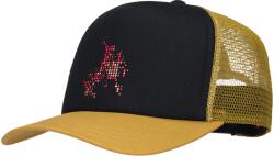 Vans Skate flame trucker uni