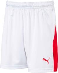 PUMA Liga shorts with brief jr 176