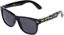 Warner Bros. Interactive Batman lens