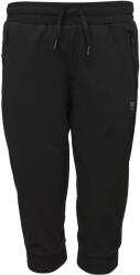 Willard ARA S