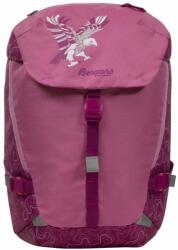 Bergans Aksla 24 lid