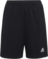 adidas Ent22 tr shoy 128