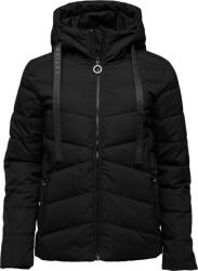 Willard NOELIA XL