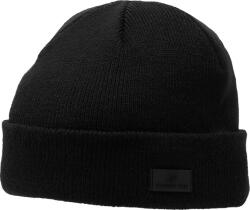 4F Winter cap uni