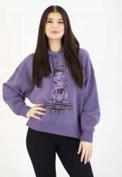 Pitbull Pit Bull kapucnis pulóver Bites dusty grape, 70% pamut (175053401002)