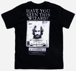E plus M Harry Potter Wizard gyerek póló, felső 9 év / 134 cm 85EMM5202007A134 (85EMM5202007A134)