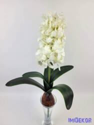  Hagymás jácint 5 levéllel 39/29 cm - Fehér