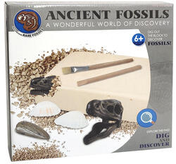  Set de arheolog - Fosile (410401237)