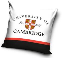  Cambridge párnahuzat 40*40 cm (CBX211003CAM) - nalubababolt