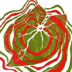 Hotline Tnt Raspberry Moon - facethemusic - 12 590 Ft