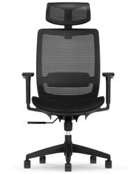 FlexiSpot Ergonomikus teljes hálós irodai szék BS4, Fekete, Állítható Fejtámlával és 3D Kartámasszal (BS4B)