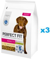 Perfect Fit (Adult 1+) 3x2, 6kg csirkével közepes és nagytestű kutyáknak