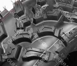 Journey P3006 26/11 D12 55j 6pr