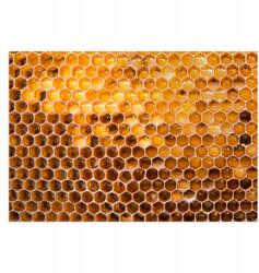  Konyhai szőnyeg, Méz szelet, vinil, könnyen tisztítható, nyomtatott (010260360260000028055)