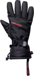 Head OSTRA L