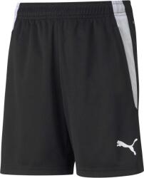 PUMA Teamliga training shorts jr 140