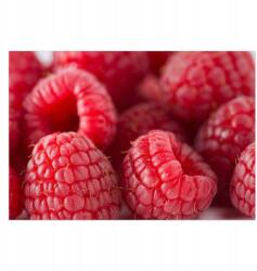  Szőnyeg, Konyha, Hálószoba, Előszoba, Tépett málna, vinil, könnyen tisztítható (010260360260000027686)