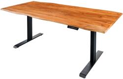 Invicta MAMMUT barna akácfa íróasztal 120 cm - ASZTALLAP