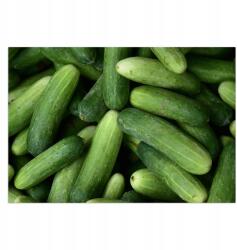  Vinylből készült padlószőnyeg Földi uborka, nyomtatott, könnyen tisztítható (010260360260000027792)