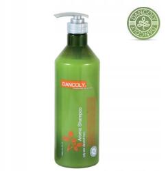 Angel Haircare Dancoly sampon zsíros hajra, Size 1000ml (3700814102071)