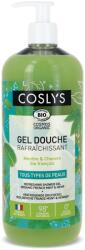 Coslys Gel de dus bio revigorant cu Menta si Canepa, 250ml, Coslys
