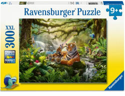 Ravensburger Puzzle Wildlife Wonders 300p (12004055)
