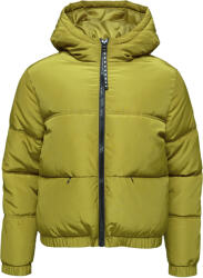 Willard AGOLA XXL