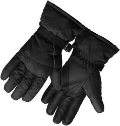 Willard HORIS S