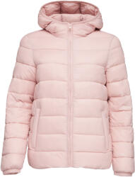 Champion LEGACY L - sportisimo - 128,99 лв