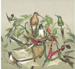 Rasch Fototapet vlies Rasch Curiosity Birds bej/verde 318x300 cm (543520)