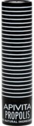 APIVITA Ajakápoló stift propolisszal