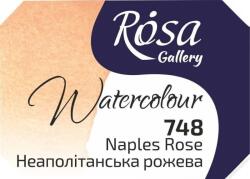 Rosa 343748 Akvarell festék 748 Naples Rose 2, 5 ml 1 db (343748)