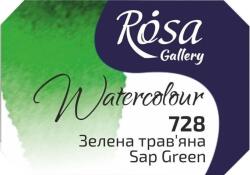 Rosa 343728 Vopsea acuarela 728 Sap Green 2, 5 ml 1 buc (343728)