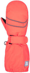 LOAP RUPON 2-3Y