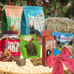  Karácsonyi Ajándékcsomag Nyulaknak I Meadow Care & Treats Box - Rétifűs Gondoskodás és Finomság