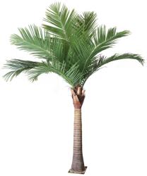 WELLIS - Kókuszpálma műnövény 280 cm (WN00002)
