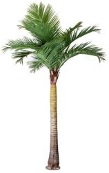 WELLIS - Kókuszpálma műnövény 310cm (WN00001)