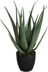 WELLIS - Aloe Vera műnövény 69cm (WN00010)