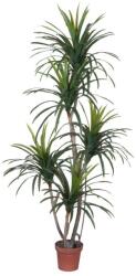 WELLIS - Yucca pálma műnövény 185cm (WN00005)