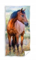 Carbotex Ló törölköző, 30×50cm, pamut, kézre, arcra (TNL204015-R)