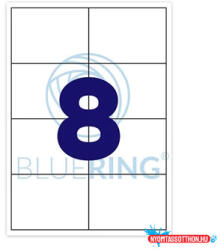 BLUERING Etikett címke, 99, 1x67, 7mm, 100 lap, 8 címke/lap Bluering (64293) - nyomtassotthon