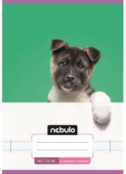Nebulo Füzet, A5, 3. osztályos vonalas, 12-32, Cuki minták, 16 db/csomag Nebulo (VO3-CM-A5) - tonerpiac