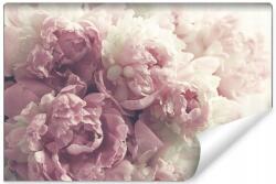 Muralo Fotótapéta Virágzó Peonie, 90x135cm, flíz, ingyenes ragasztó (MF_982_VE135-90)